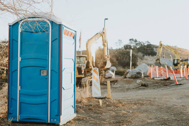 Best Portable bathroom rental  in Richton Park, IL